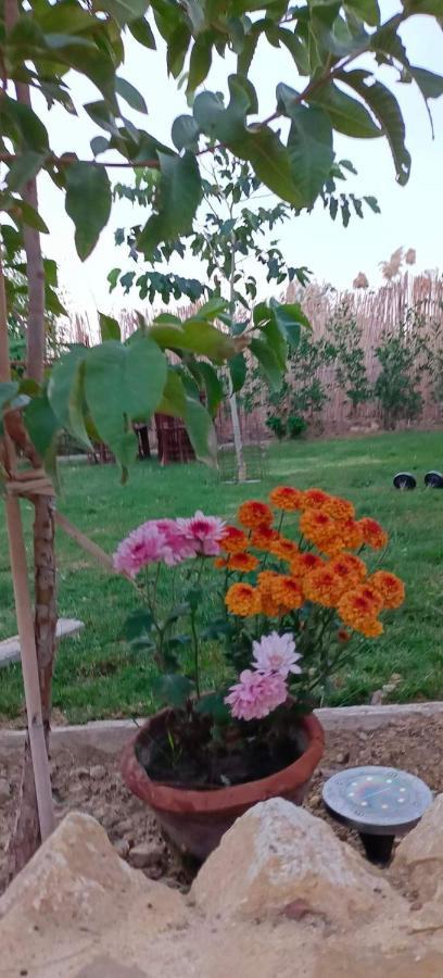 Kayan House * Tunis