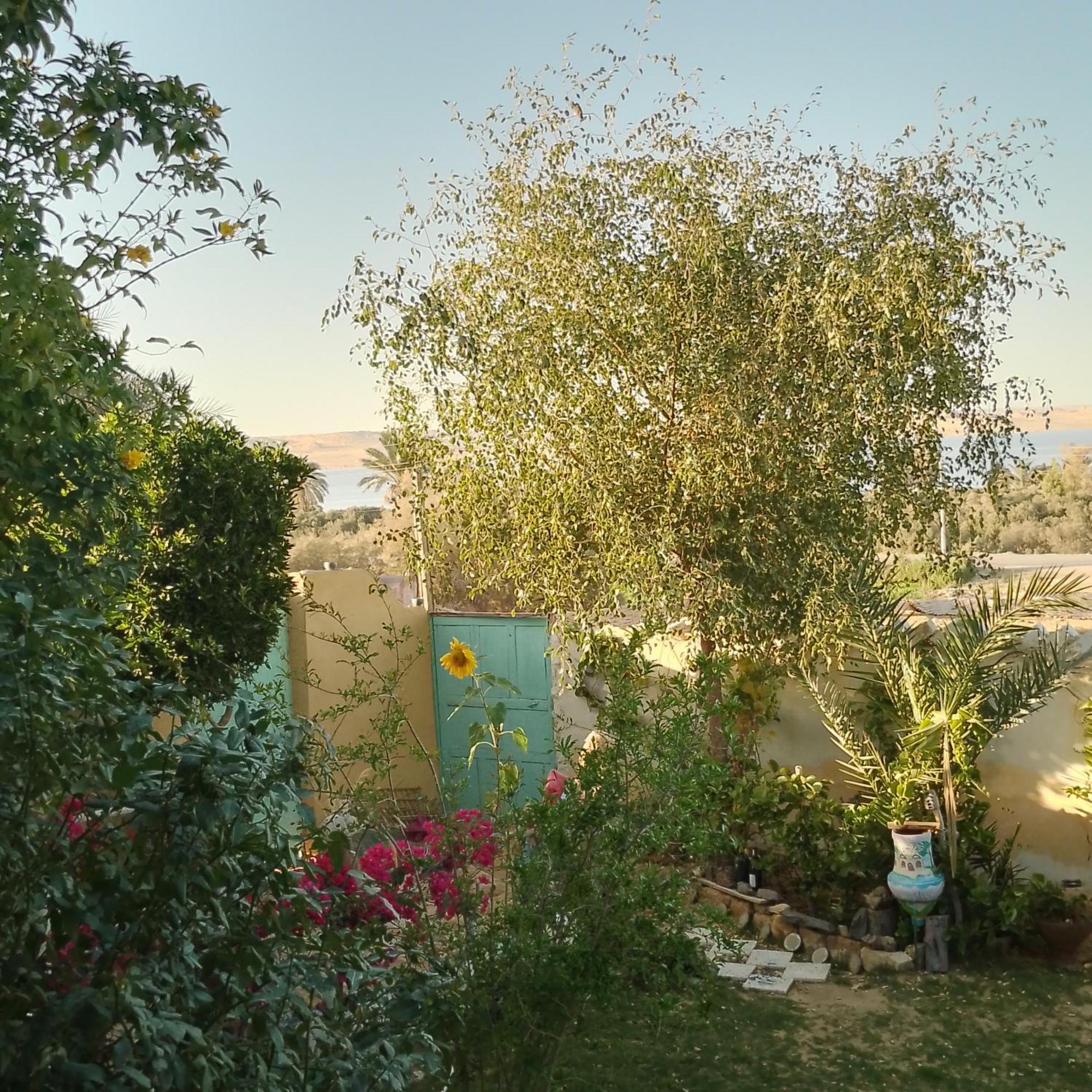 Kayan House * Tunis